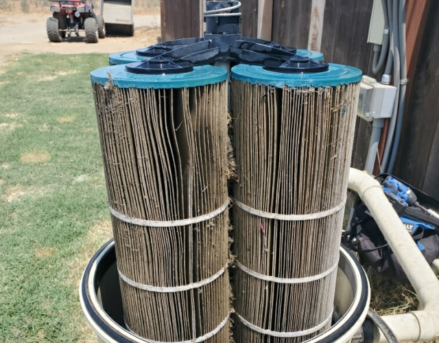 Swimming Pool service Visalia