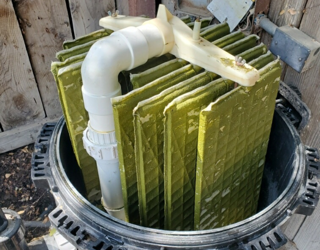 pool accessories Visalia